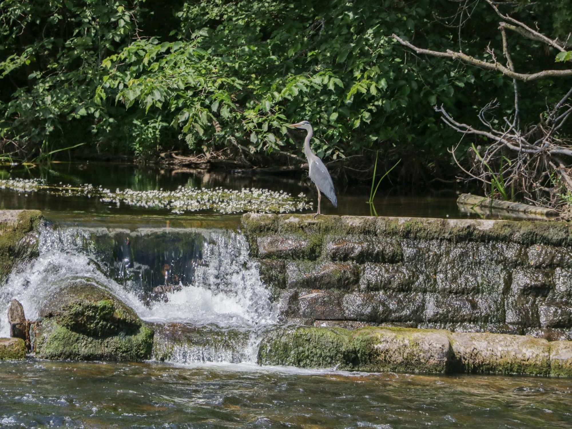 21 Eamont Park Βίλα Penrith Εξωτερικό φωτογραφία
